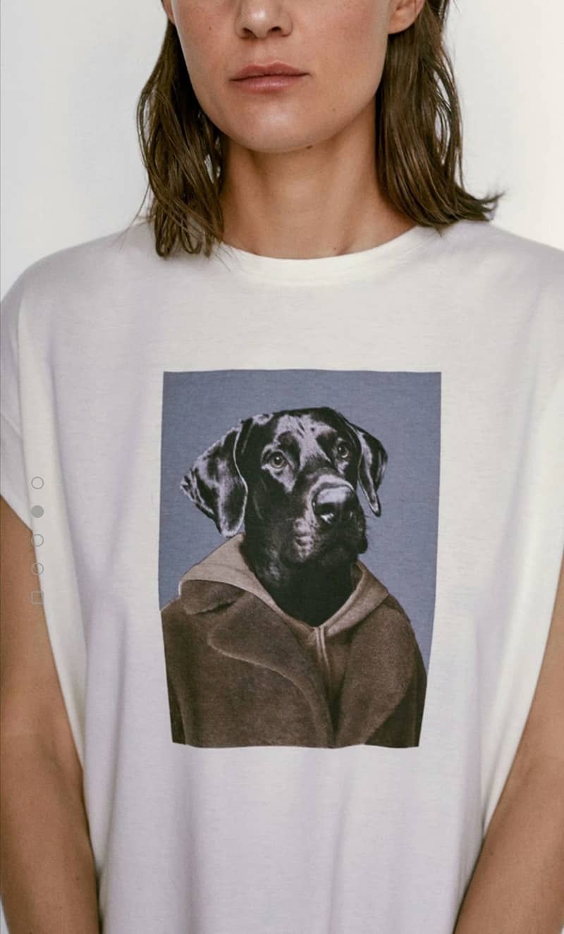 European And American Summer Cartoon Dog Pattern Decorati…